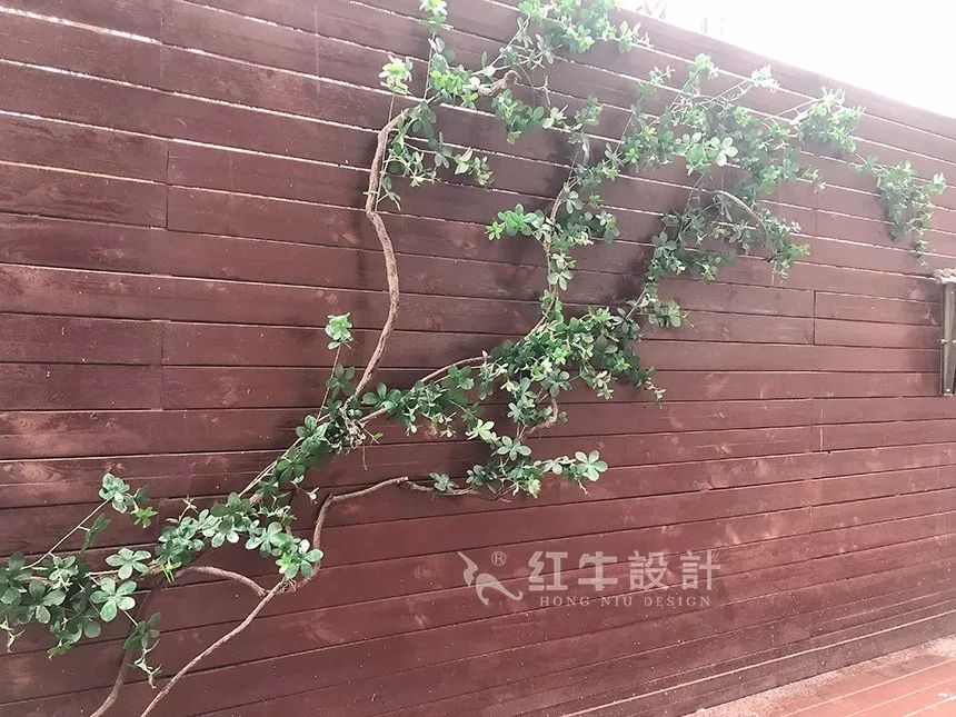 南京后宰门街75㎡北欧风格--美翻了的家庭小院07院子设计